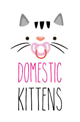 Domestic Kittens
