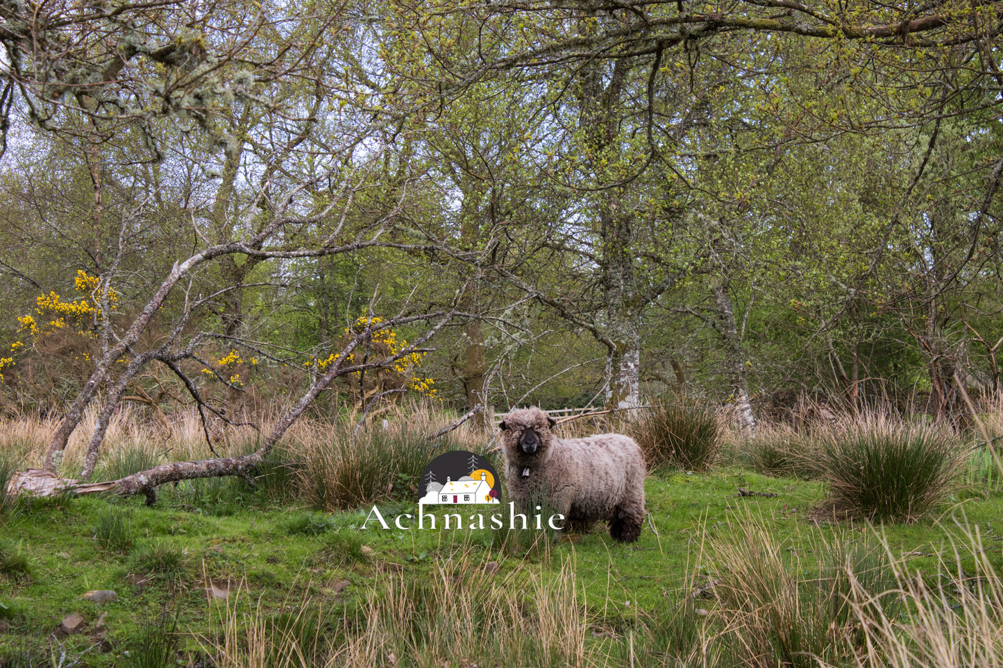 A Day at the Farm - Photo Prints