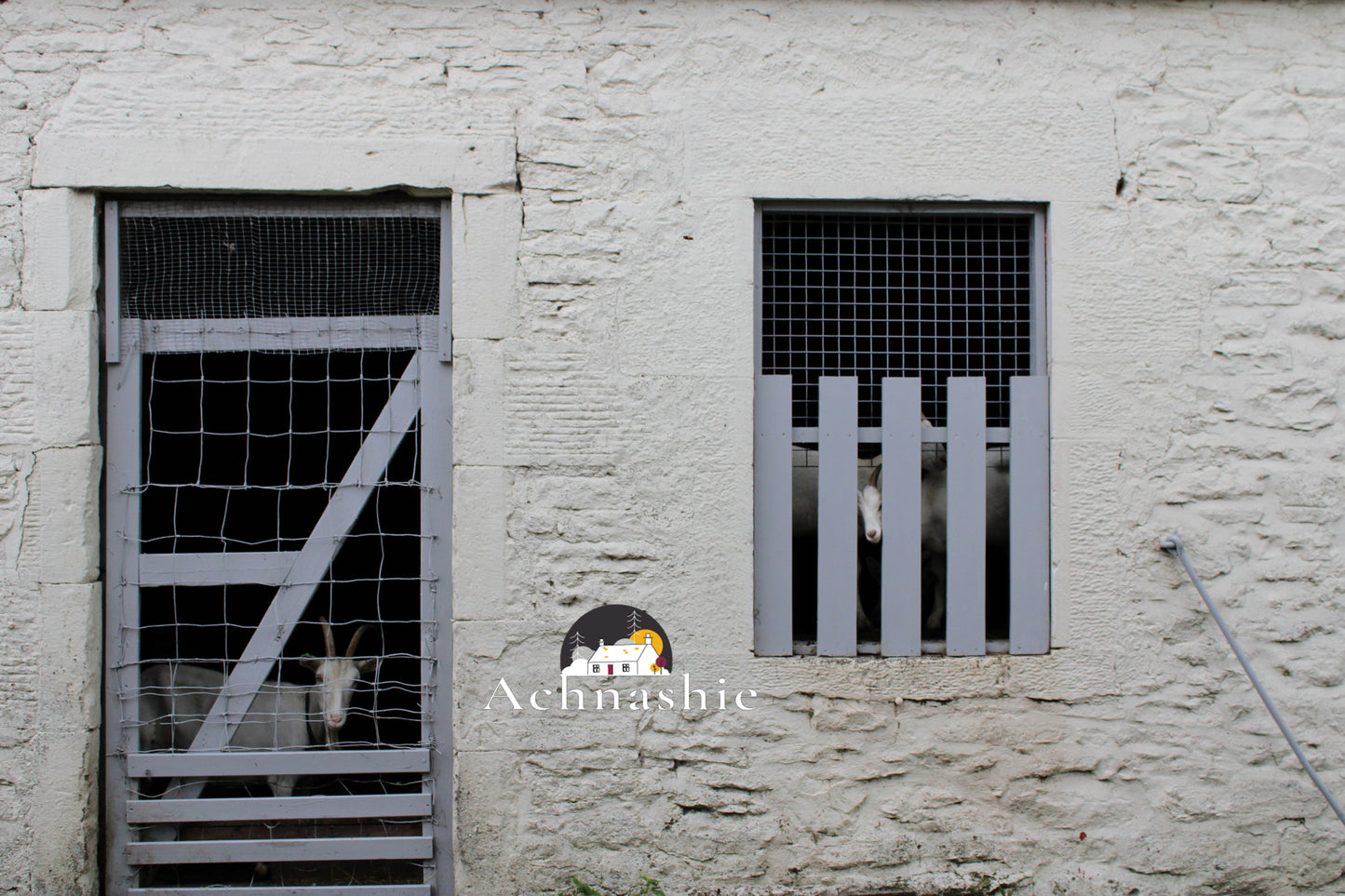 A Day at the Farm - Photo Prints